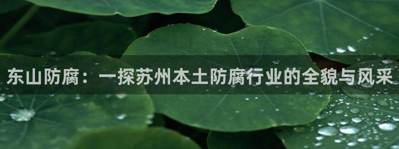 新宝gg注册登录