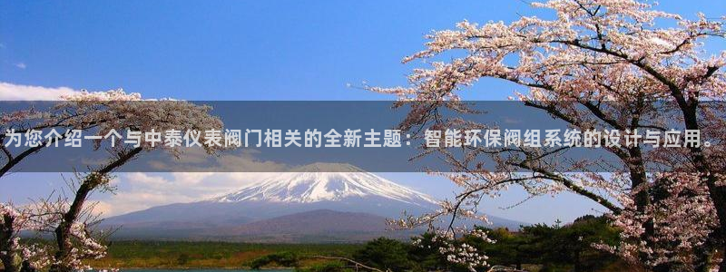 新宝GG上级