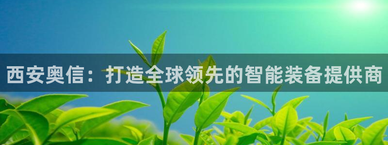 关于新宝GG