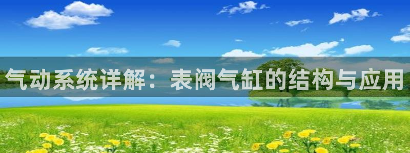 www.新宝gg