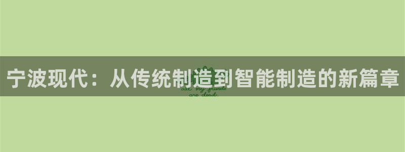 新宝gg漏洞