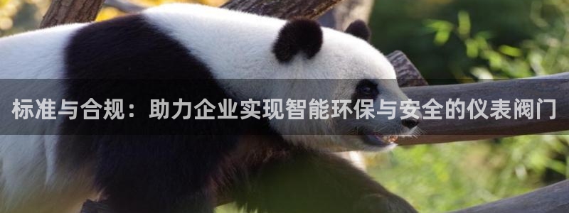 新宝gg代理条件