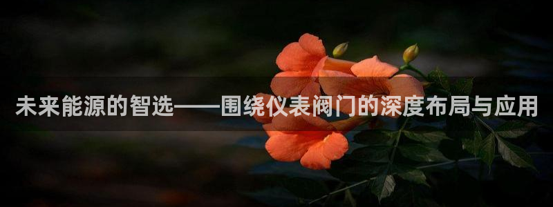 新宝gg app