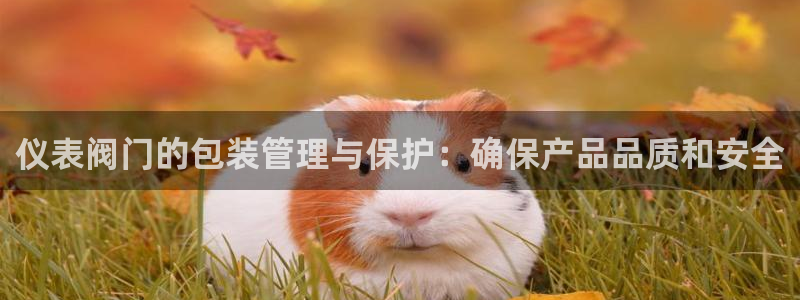 新宝gg网址