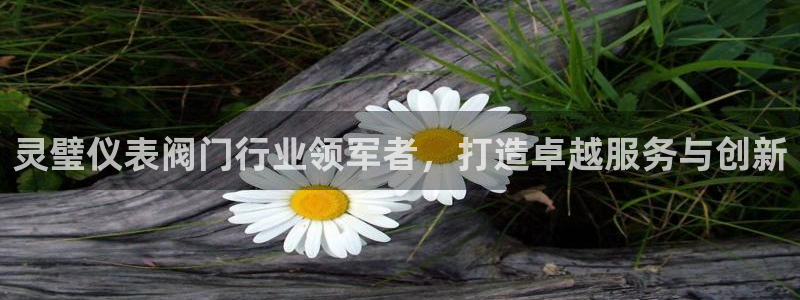 新宝gg平台开发