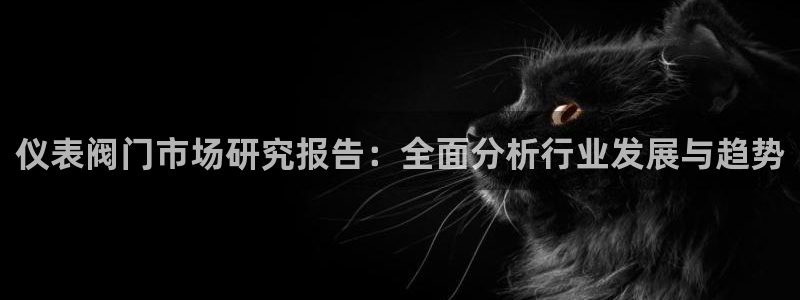 新宝gg返点1956是多少