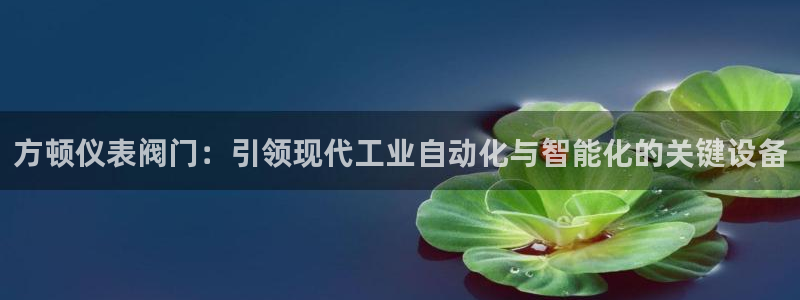 新宝gg登录平台