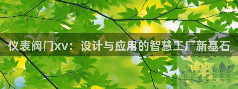 新宝GG 黑钱