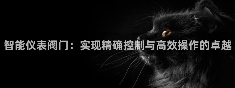 新宝gg主管开