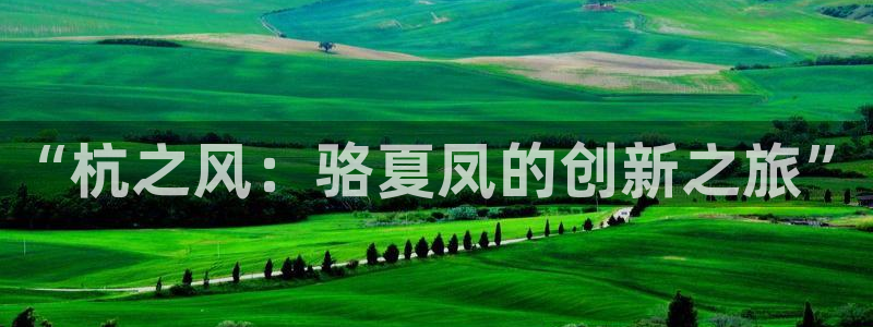 新宝gg招商
