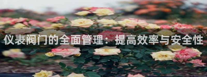 新宝gg平台gg登录gg网址