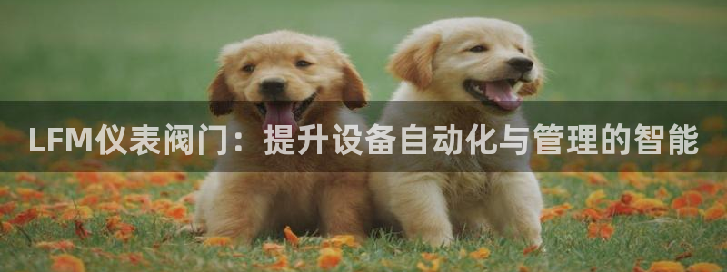 新宝gg登录线路测试