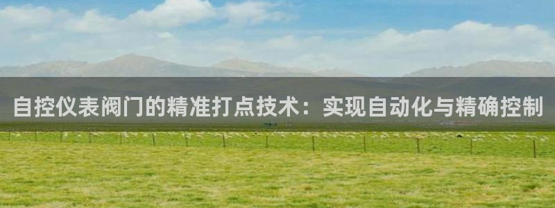 新宝 gg 总代理