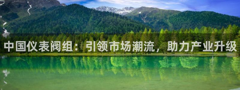 新宝gg官方下载