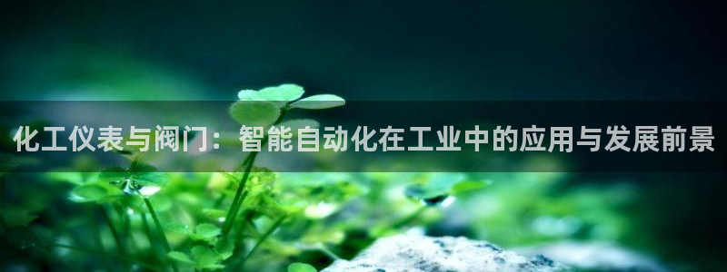 新宝GG管理