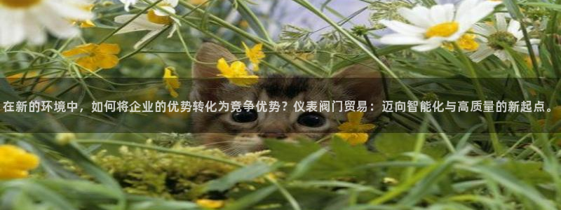 新宝gg违法