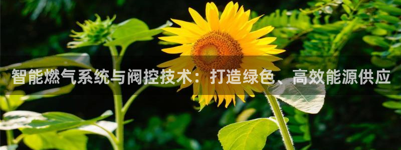 新宝GG主管41333