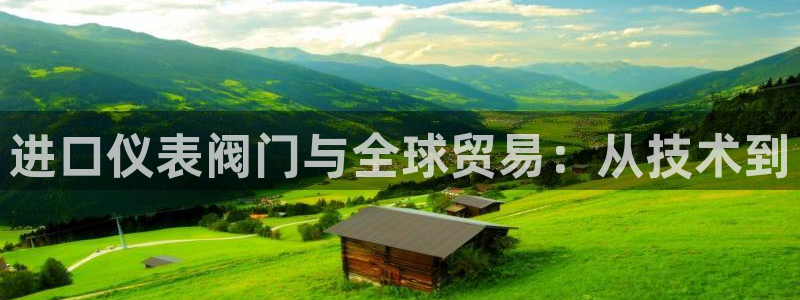 新宝哥gg