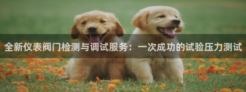 新宝gg龙腾