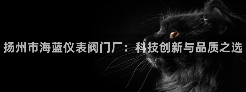 新宝gg赚钱