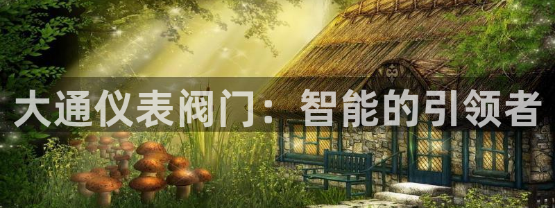 正版新宝gg