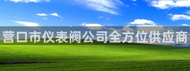 新宝gg客服