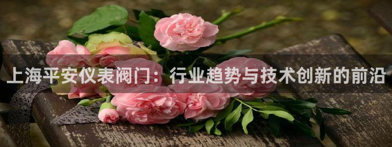 新宝GG管理
