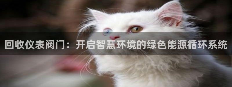 新宝gg合作