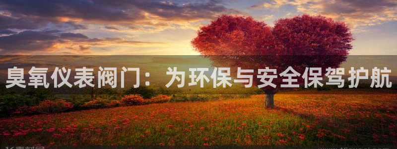 新宝gg代理条件