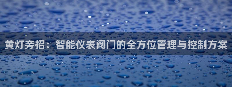 新宝gg娱乐盟主