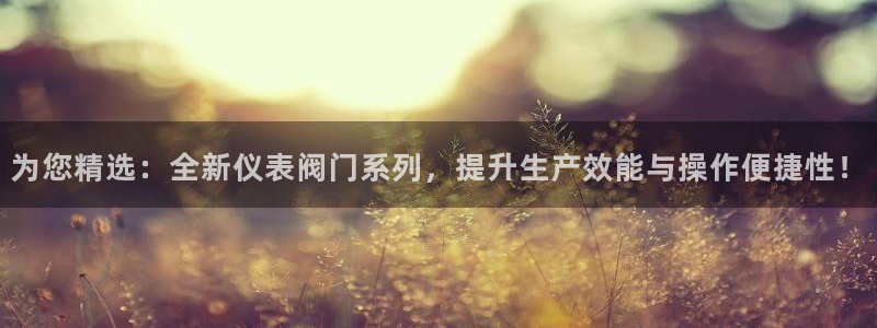 新宝 gg .com