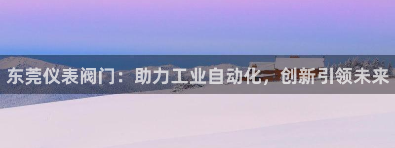 新宝GG跑路
