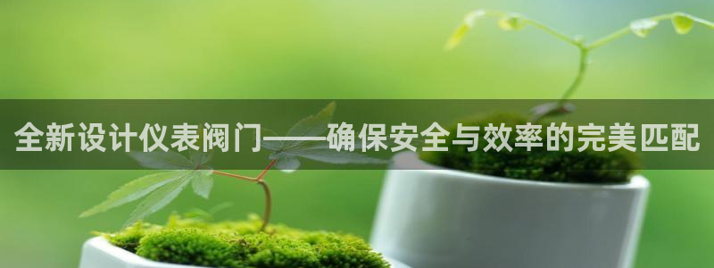 新宝gg账号