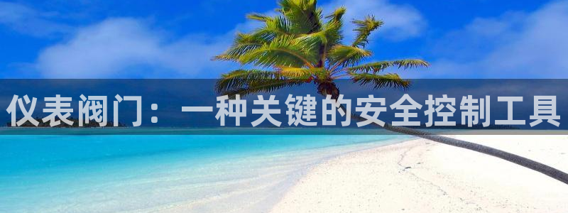 新宝gg账号