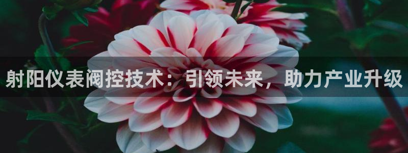 新宝gg 开户