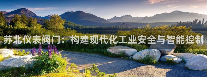 新宝gg开号