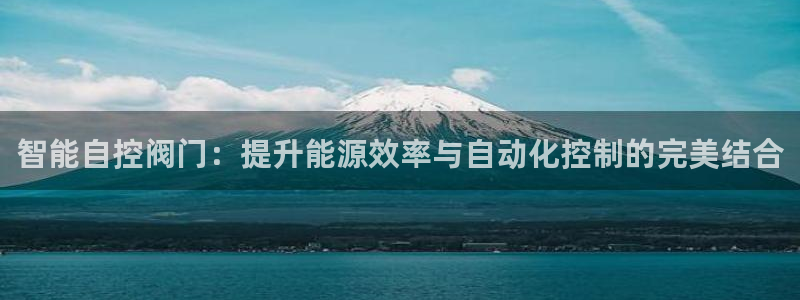 新宝gg玩