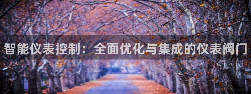 新宝Gg测速地址